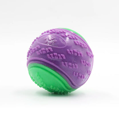 Dog Squeaky Ball Toy – TPR Teeth Cleaning Chew Toy