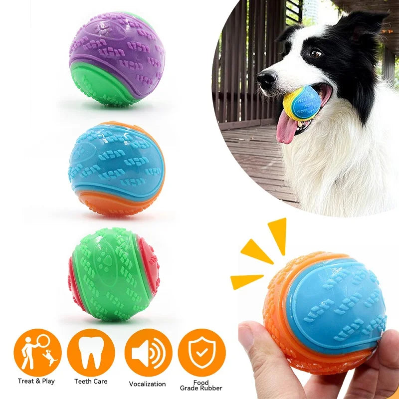 Dog Squeaky Ball Toy – TPR Teeth Cleaning Chew Toy