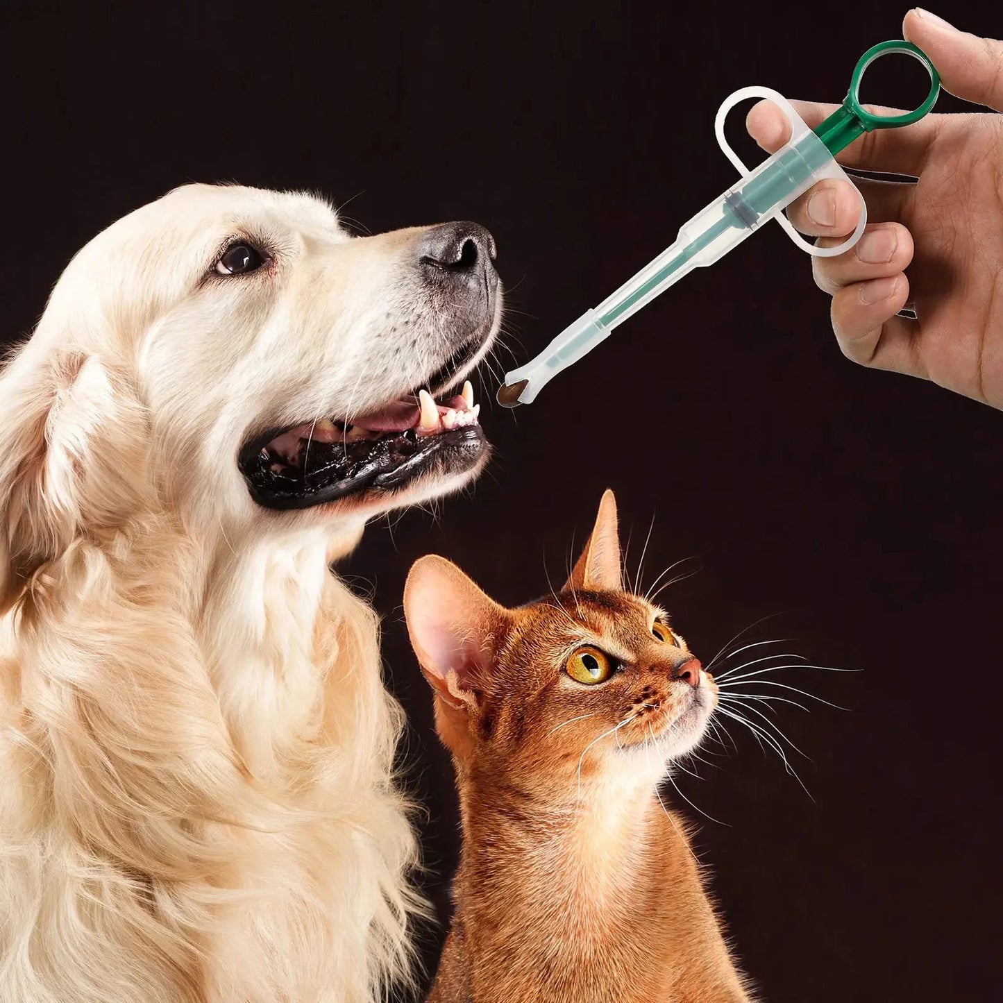 Pet Medication Dispenser – Pill & Capsule Feeder for Cats & Dogs