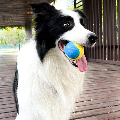 Dog Squeaky Ball Toy – TPR Teeth Cleaning Chew Toy